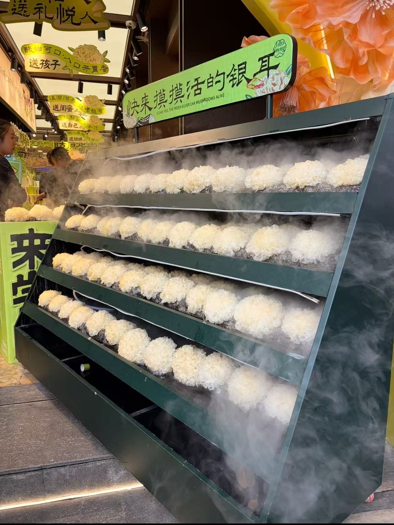 旅行照片 2